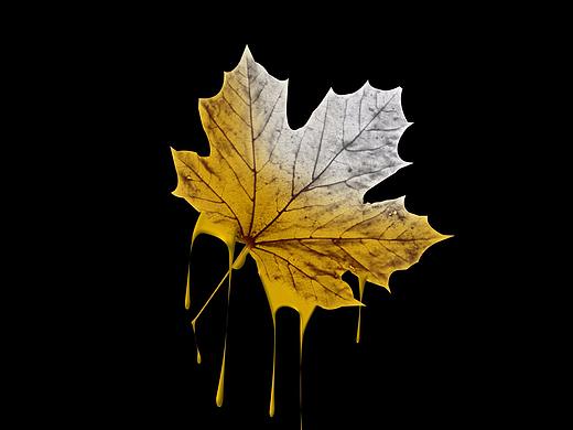 海報學習（個人主頁-ZMjgxOTE4MjQ=） - 海報 - 站酷設計師楠包子原創(chuàng)素材 - 站酷ZCOOL