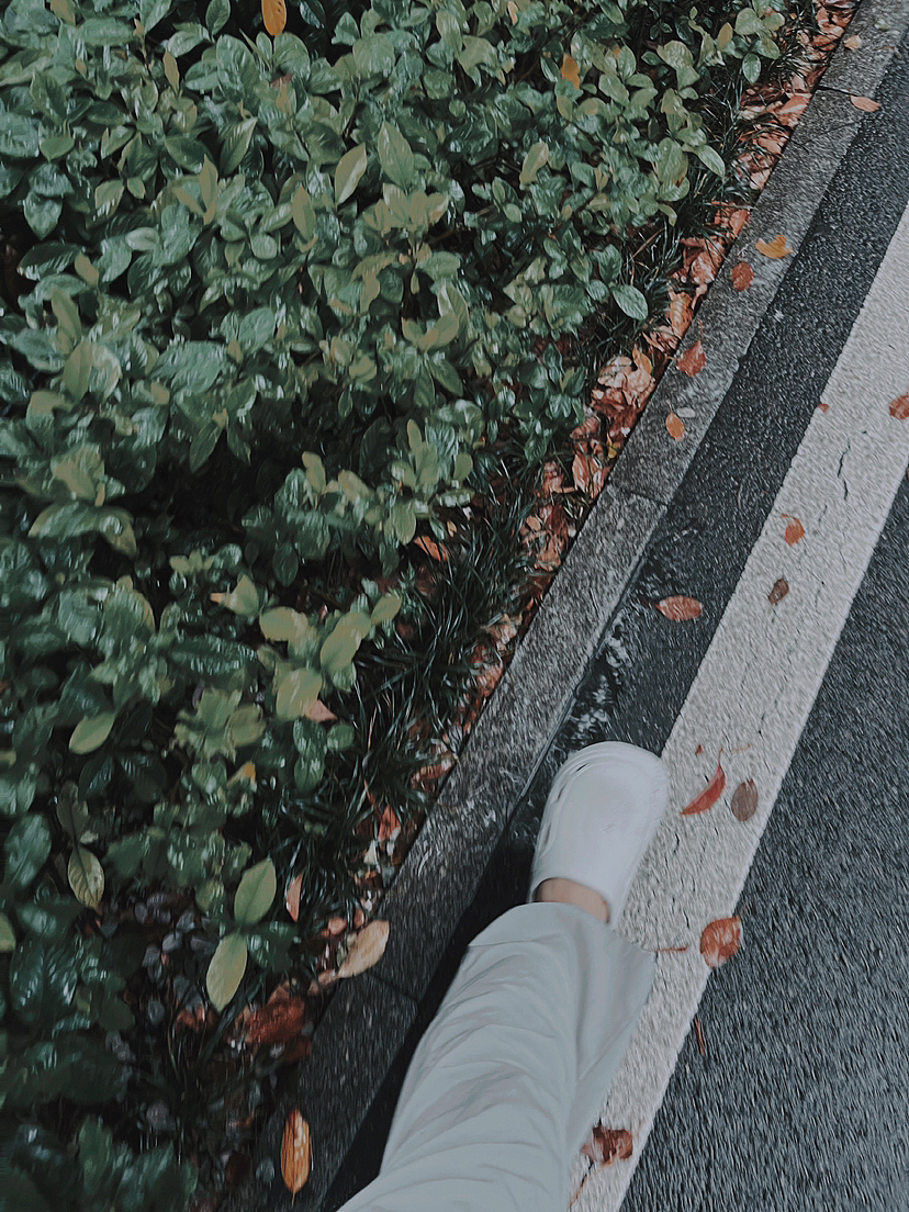 手机拍摄-湖南长沙-橘子洲（图ZMzQzOTUyODEy） - 风光摄影 - 站酷设计师形色分界原创素材 - 站酷ZCOOL