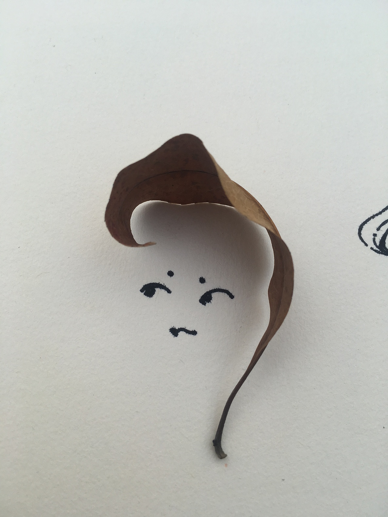 临摹81随笔2103:55:17cg绘画之色彩基础与素描案例40559赵萌萌14:04