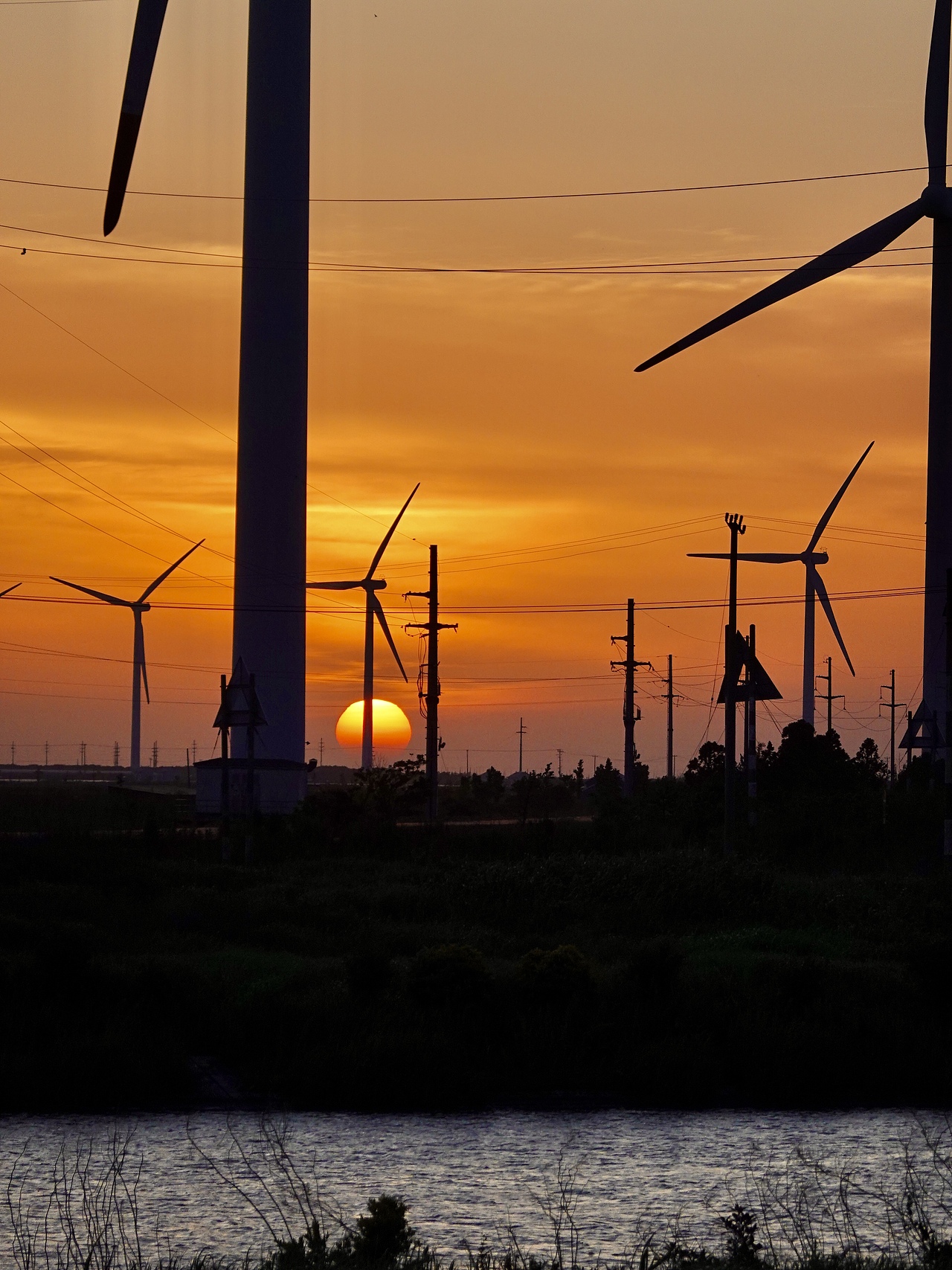 上海|崇明岛的日落