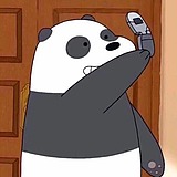 南枝XN的头像