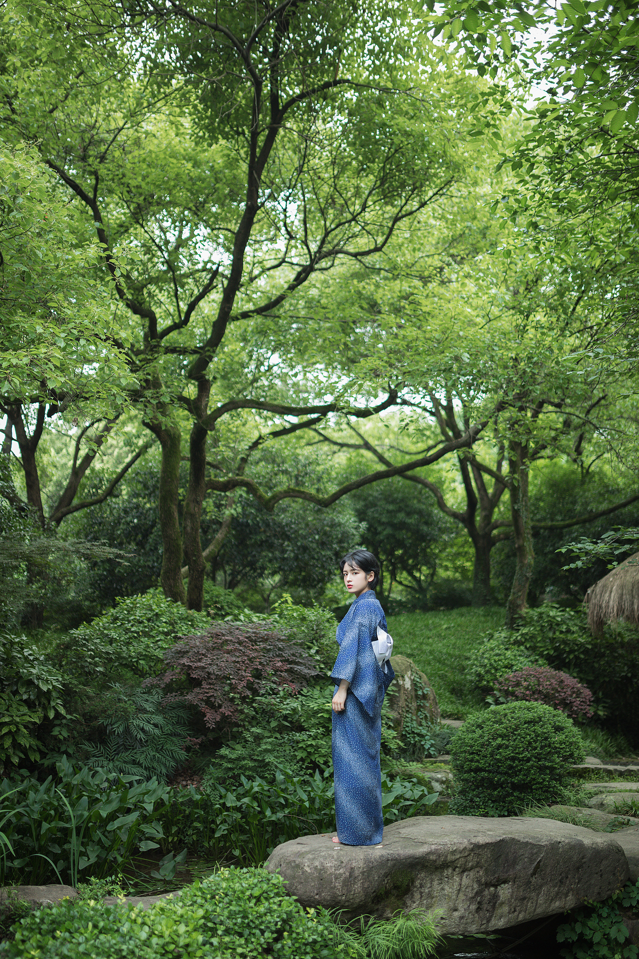 森（图ZMTYwMzQ4OTA4） - 人像摄影 - 站酷设计师野犬七原创素材 - 站酷ZCOOL