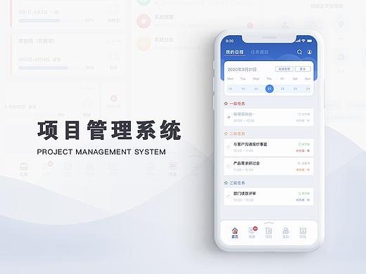 项目管理系统