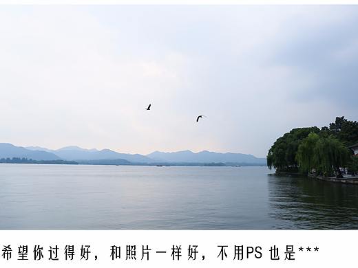 这个城市风很大,孤独人总是最晚回家。