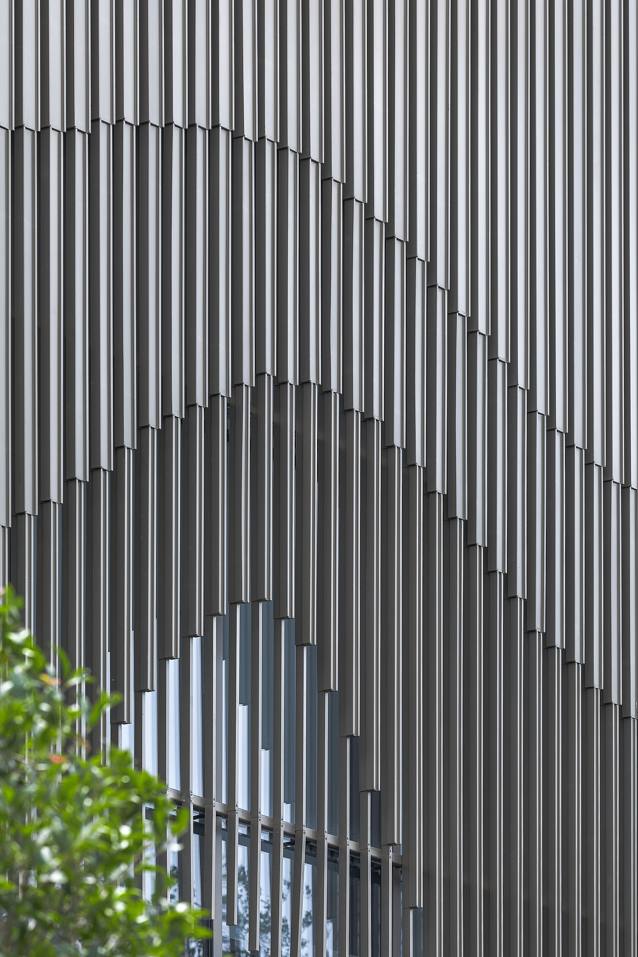 示范区 ｜ 泰州 · 金茂府（图ZMjcxNTk2MTA4） - 环境/建筑摄影 - 站酷设计师Kobayashi_原创素材 - 站酷ZCOOL