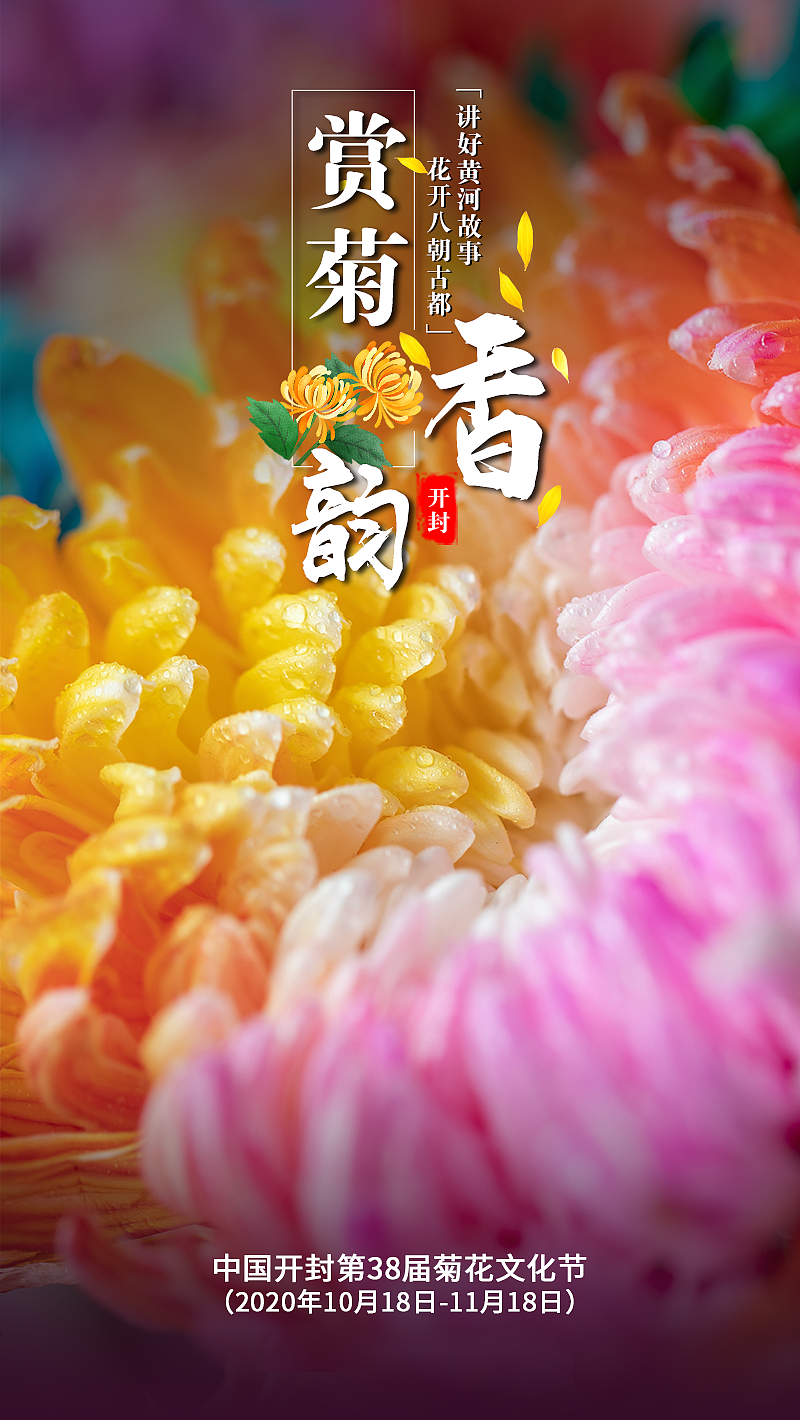 开封菊花展|平面|海报|米菟 - 原创作品 - 站酷 (zcool)