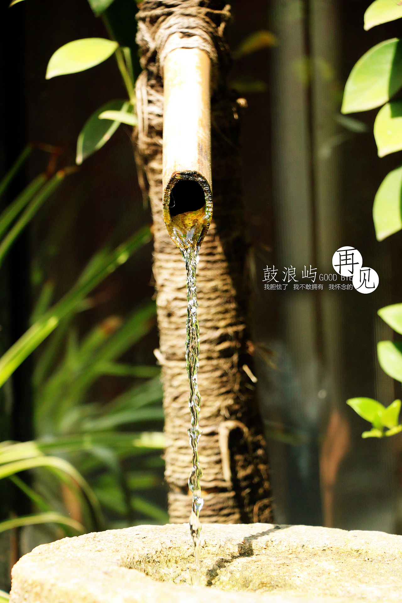 边走边看...鼓浪屿...再见