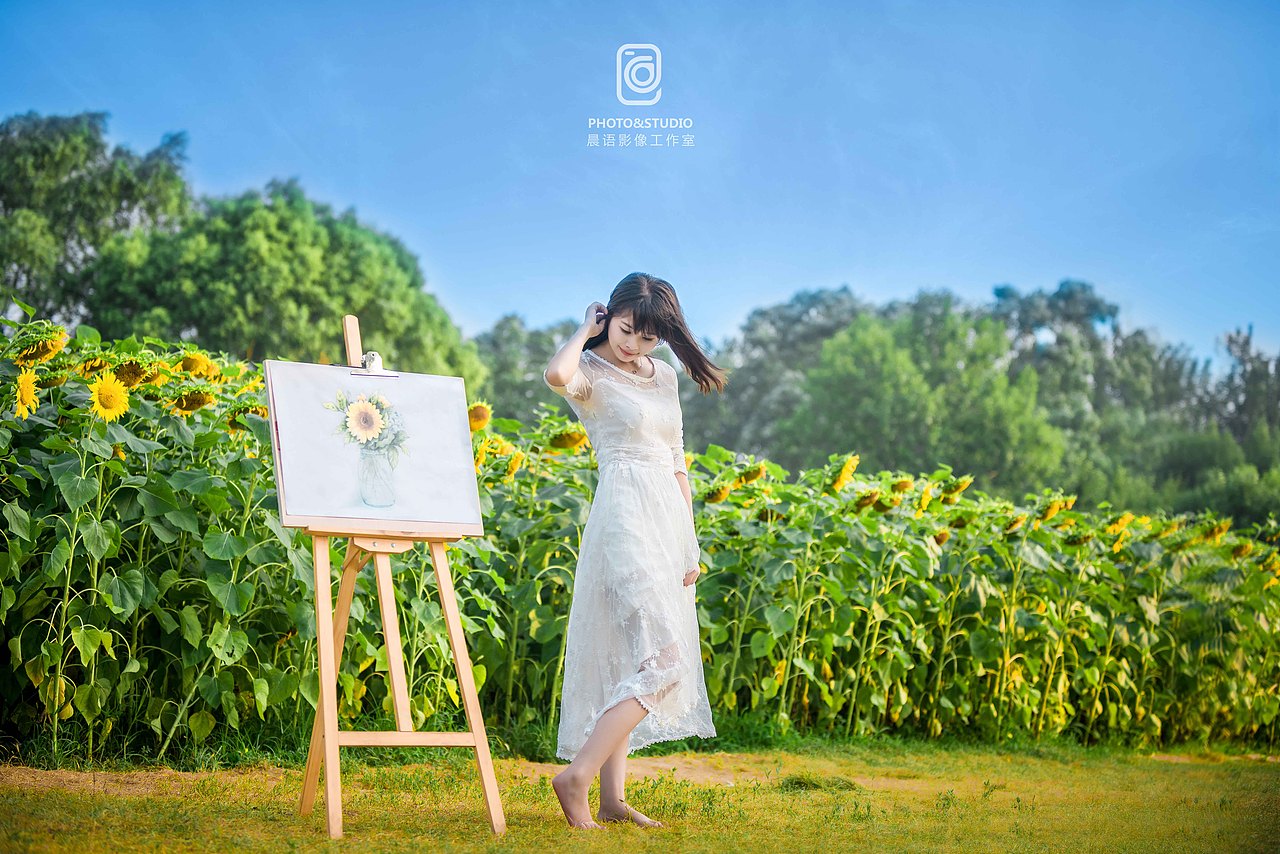 《向日葵的约定》