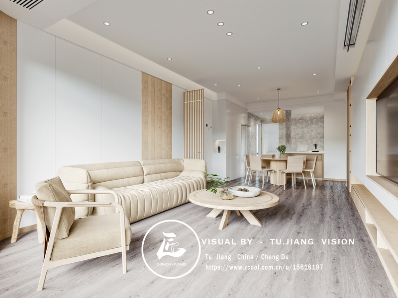 客厅（电视沙发背景墙、天花）