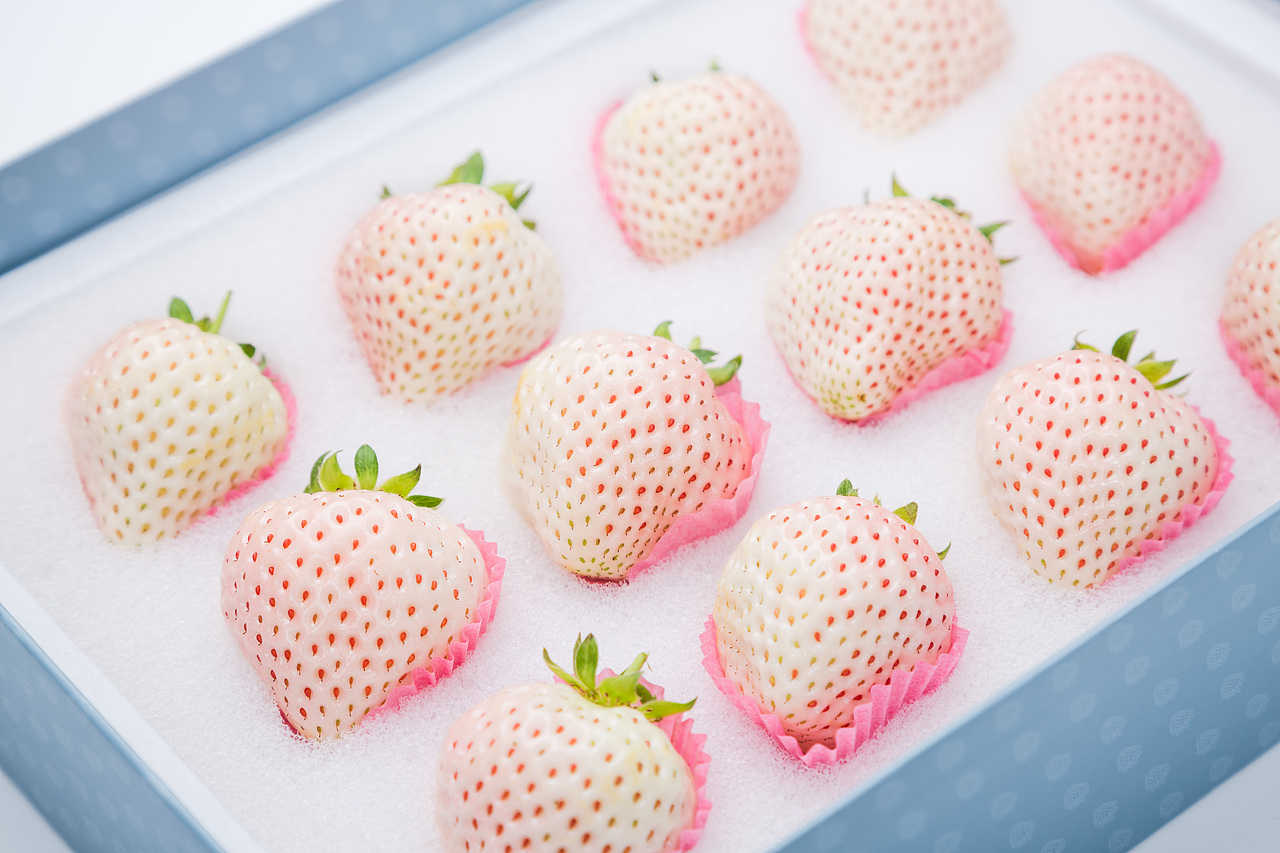 吃不起系列白草莓