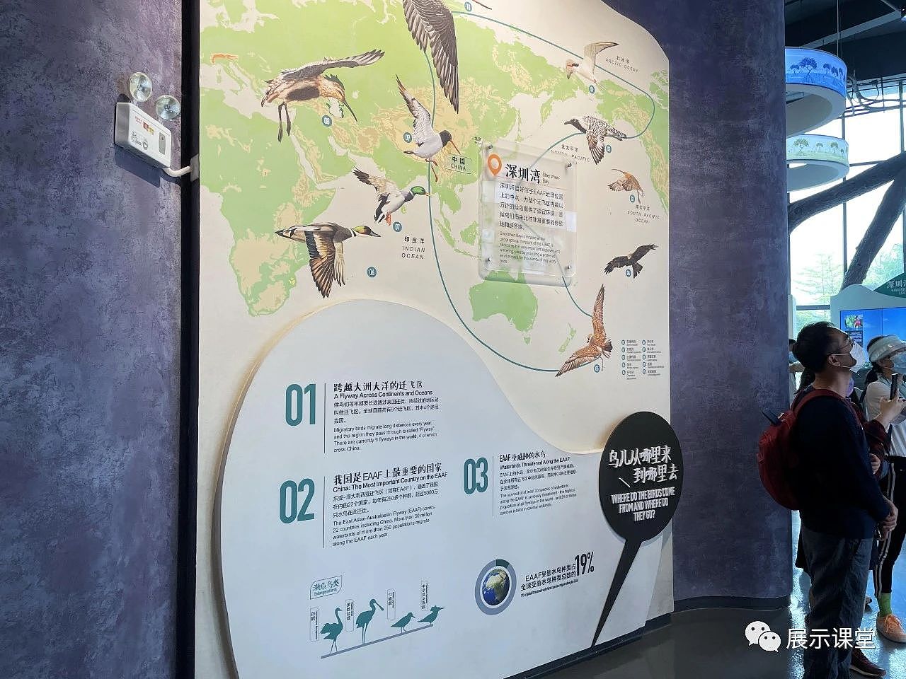 展厅设计/展馆/ 以“内容”为核心的生态科普展馆（图ZMjg2NDE1NzMy） - 展陈设计 - 站酷设计师展示课堂原创素材 - 站酷ZCOOL