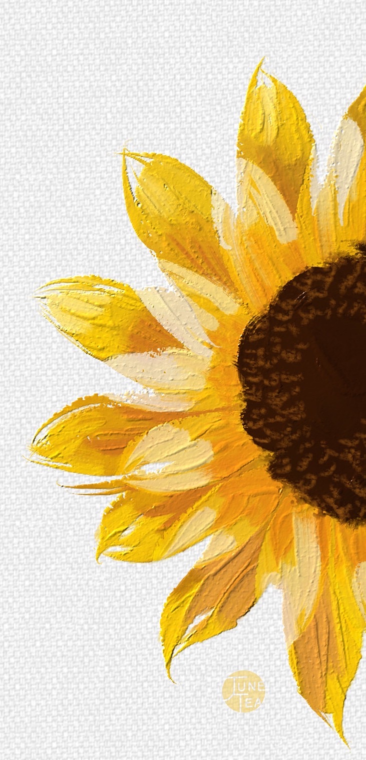 向日葵_junetea-站酷zcool