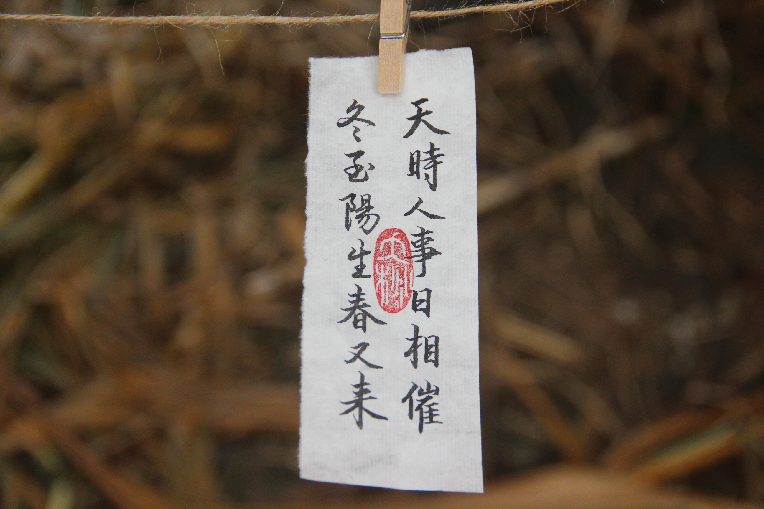 夭桃YaoTao的个人主页（封面预览） - 主页封面设置 - 站酷设计师夭桃YaoTao原创素材 - 站酷ZCOOL