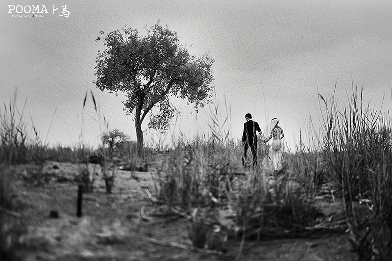 卜马婚纱旅拍—敦煌