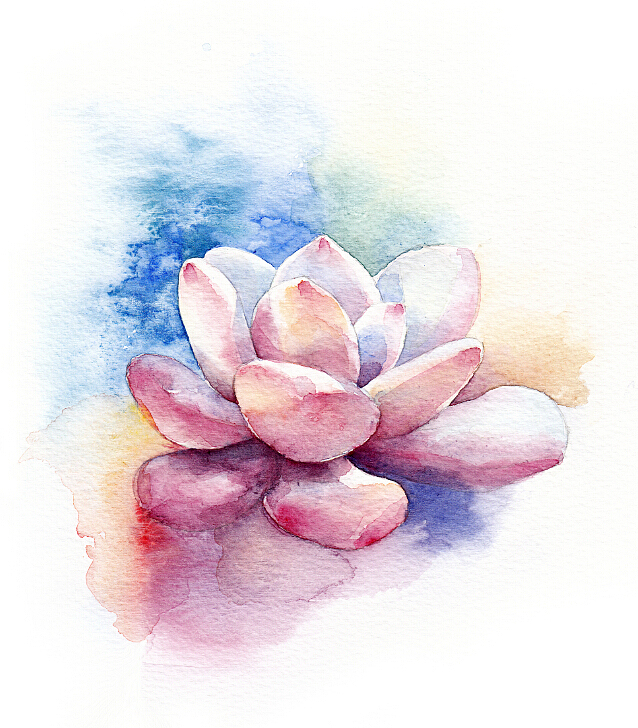 【一滴水手绘】一堆多肉（图ZMjQ2NjkyMDQ=） - 商业插画 - 站酷设计师一滴水_小水原创素材 - 站酷ZCOOL