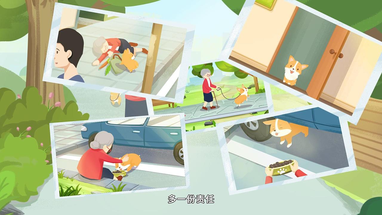 场景MG动画/插画/公益宣传/宠物科普【养狗科普动画】