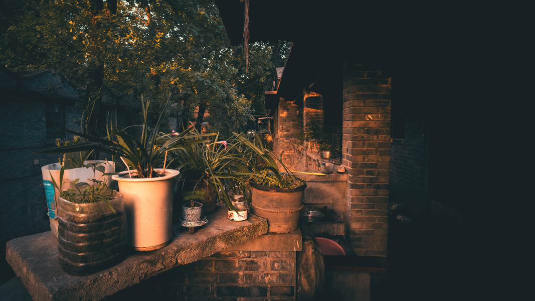 致青春回忆708090