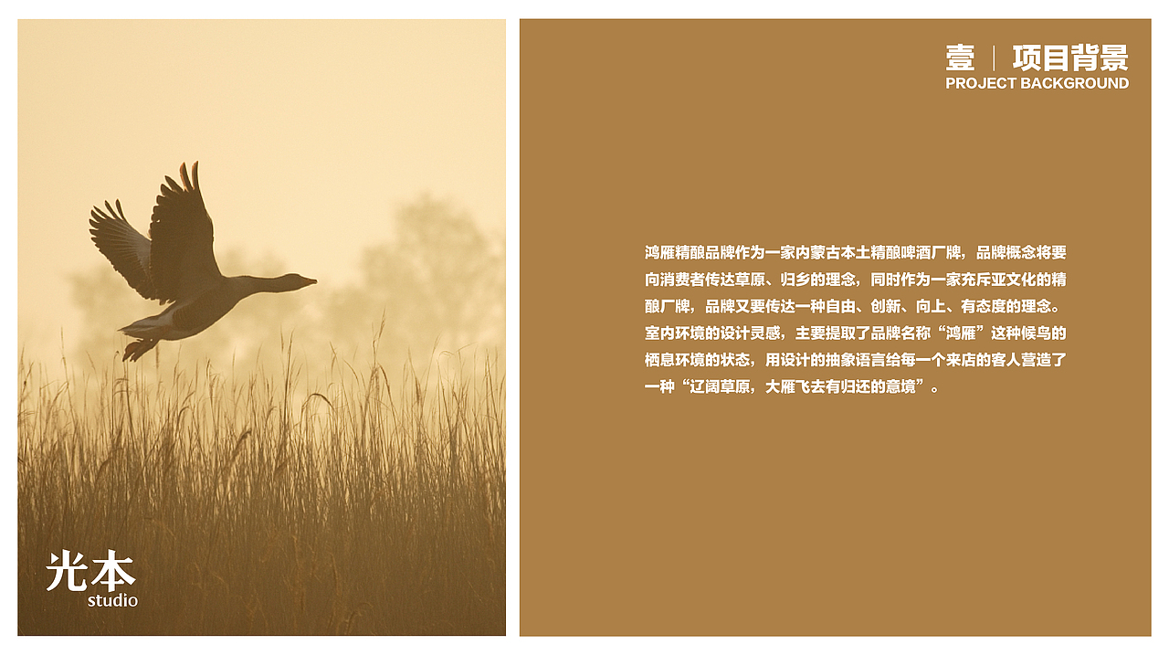 鸿雁精酿【品牌视觉】
