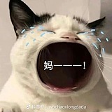十二斤的头像