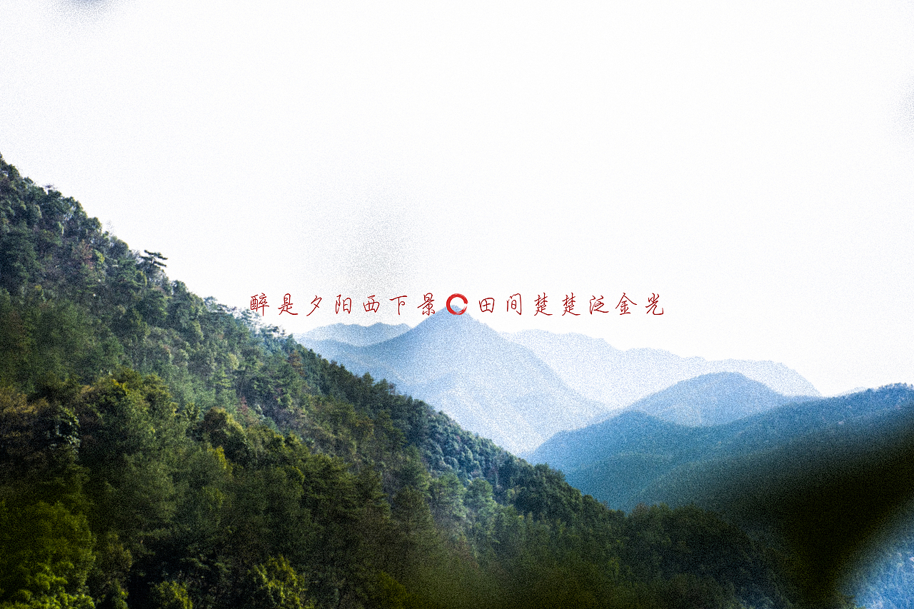 田间楚楚泛金光（图ZMTUxMDg3NDI4） - 风光摄影 - 站酷设计师M_巧克力派原创素材 - 站酷ZCOOL