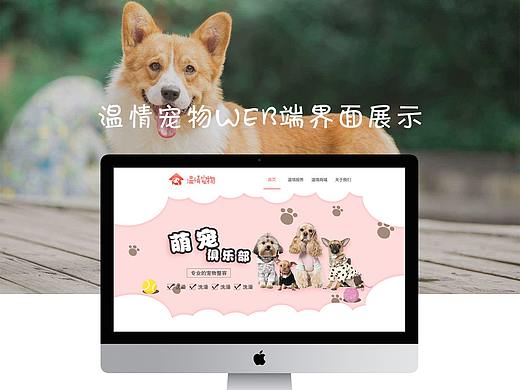 宠物官网