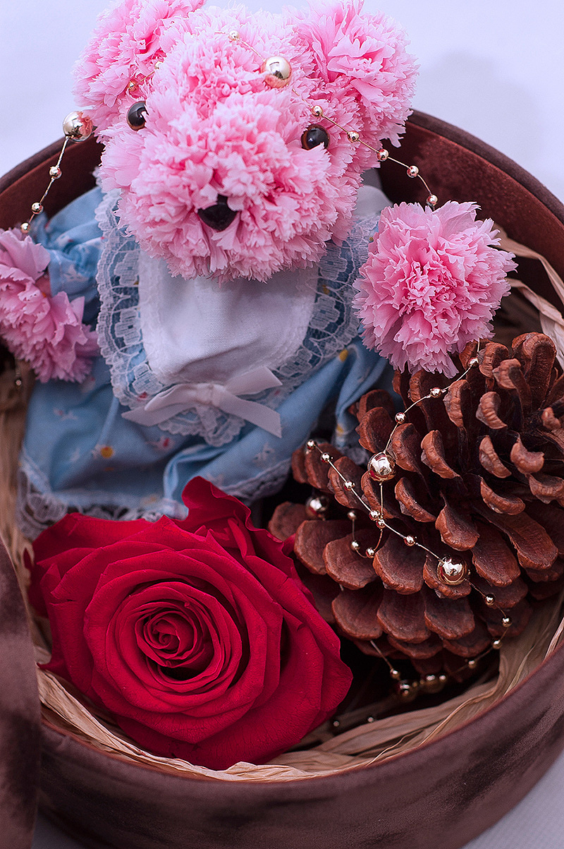 美翻了萌到极点原创永生花小熊欣赏