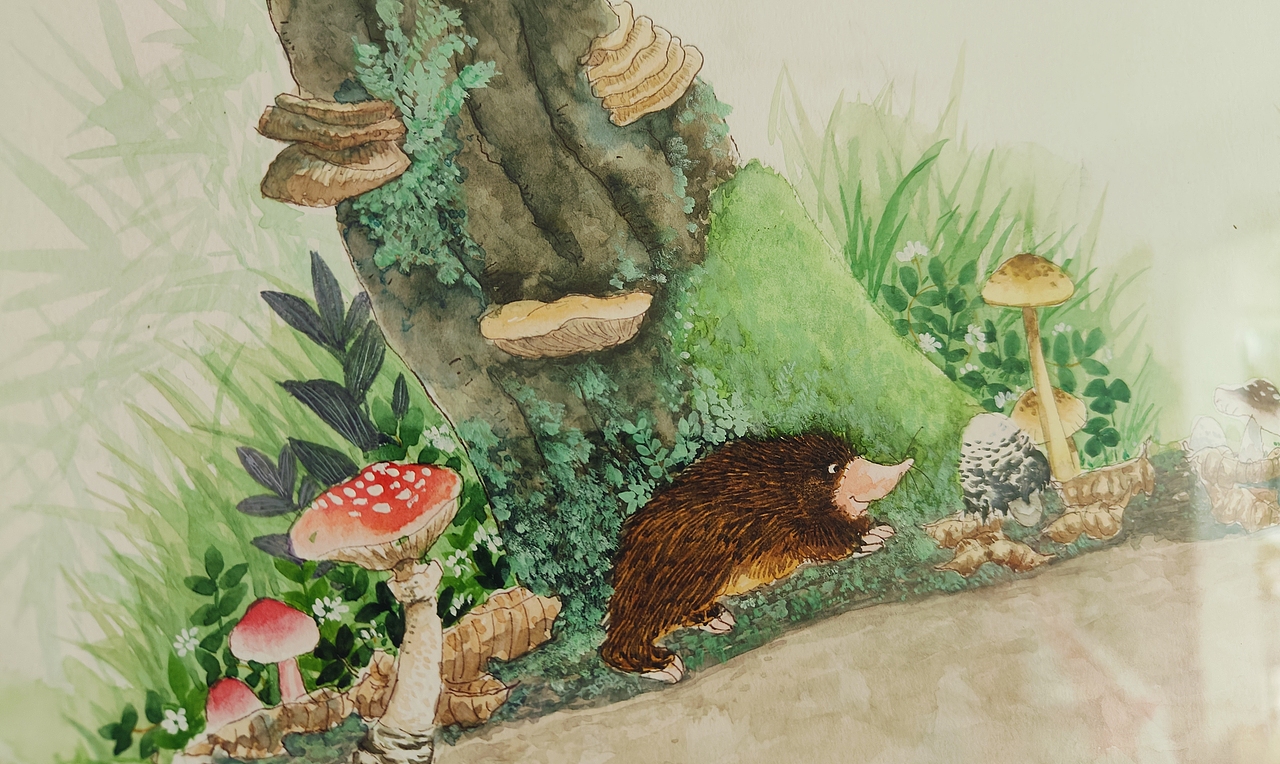 趣味植物科普插画（图ZMzc2Mjg3NDc2） - 儿童插画 - 站酷设计师大吉2019原创素材 - 站酷ZCOOL
