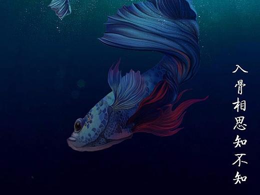 入骨相思知不知