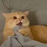 瑞书的头像