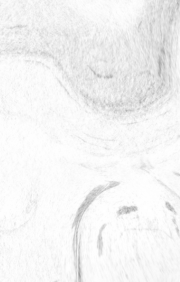 小猴子HHY0418的个人主页（背景预览） - 主页背景设置 - 站酷设计师小猴子HHY0418原创素材 - 站酷ZCOOL