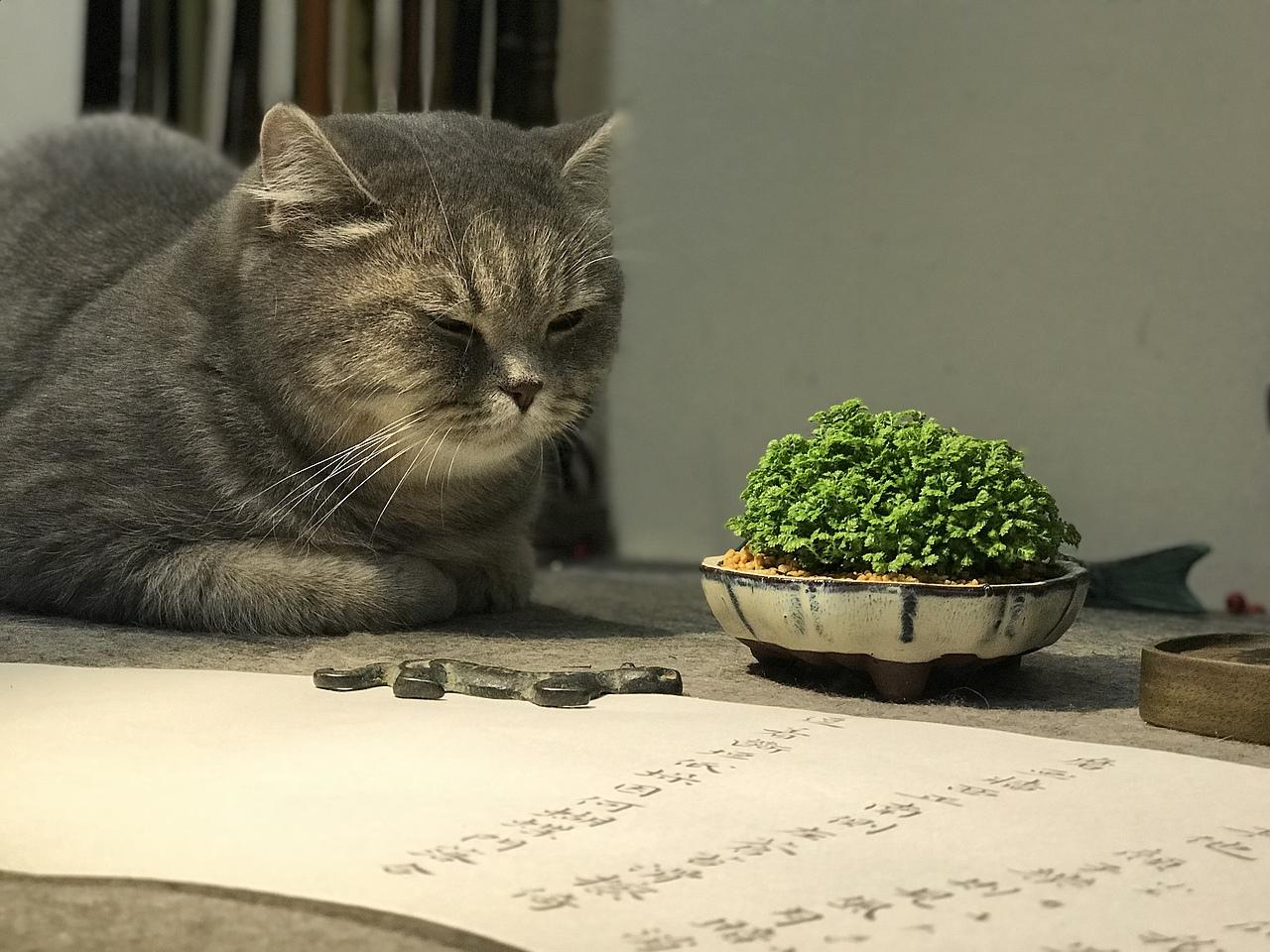 性空妙有-书法习作十四（图ZMTE1NjY0Njg0） - 书法 - 站酷设计师子鹿Milaky原创素材 - 站酷ZCOOL