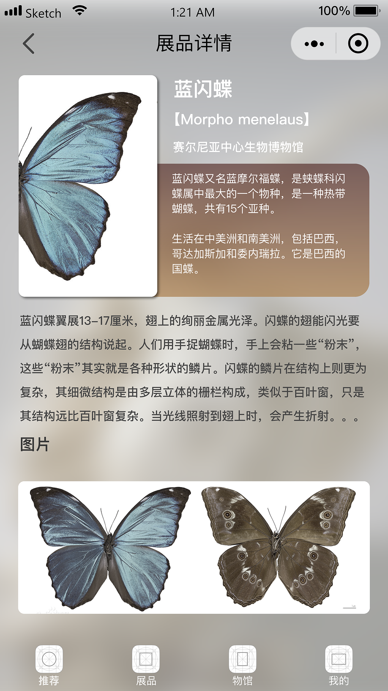 博物小程序（图ZMjE3MDY3MTEy） - APP界面 - 站酷设计师设计苏原创素材 - 站酷ZCOOL