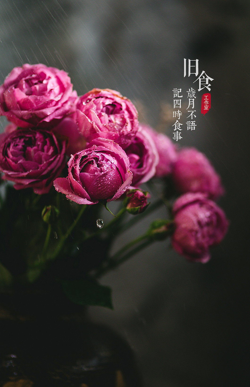 一组花朵（图ZMjU0MDQ5Njcy） - 其他摄影 - 站酷设计师旧食原创素材 - 站酷ZCOOL