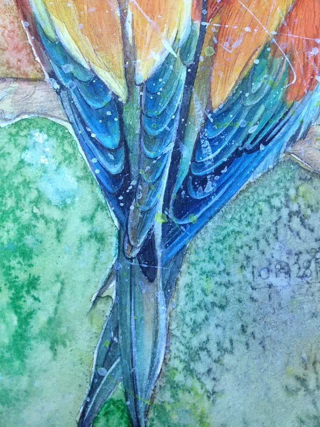 两只鸟（图ZMjIzMDY5NTY=） - 新锐潮流插画 - 站酷设计师王二狗是仙女原创素材 - 站酷ZCOOL