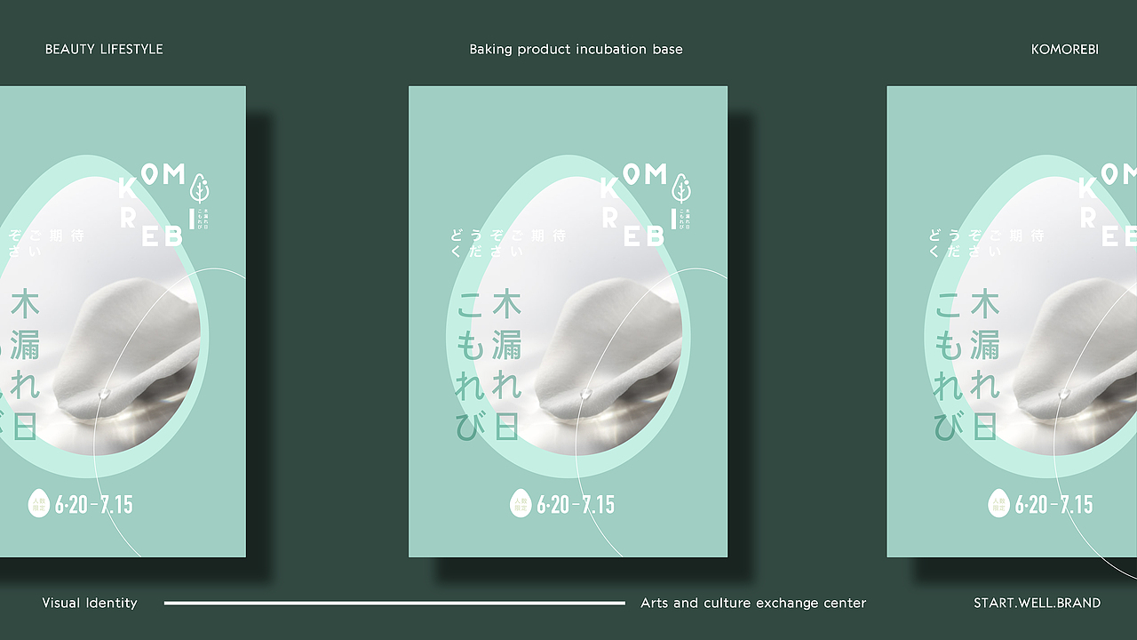 日式美肌研究所LOGO-VI系统设计第三阶段