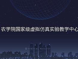项目需求做的植保网站界面设计