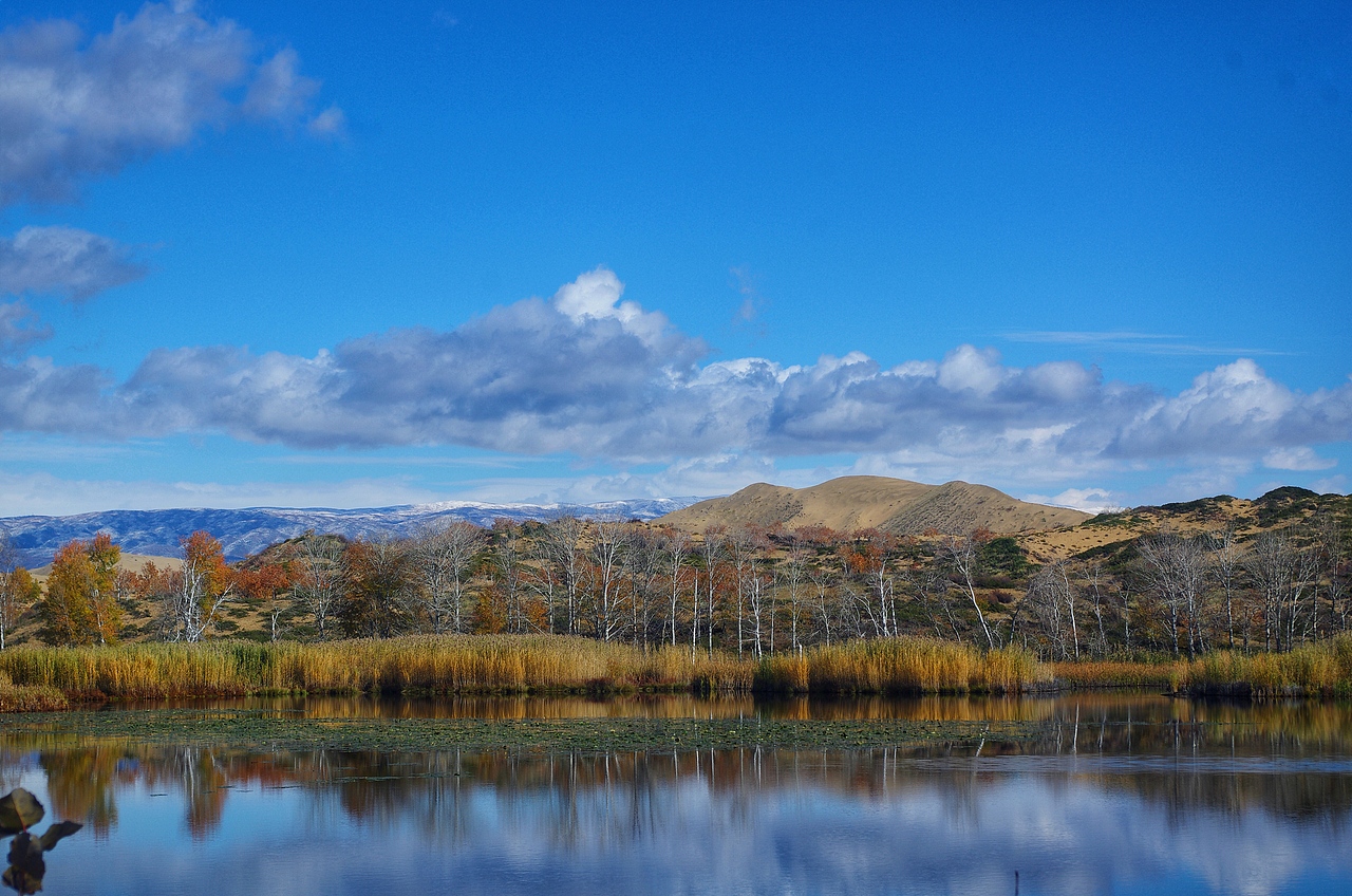 北疆秘境|秋色刚好，冷而不寒（图ZMTQzNTQwMzQ4） - 风光摄影 - 站酷设计师suki1011原创素材 - 站酷ZCOOL