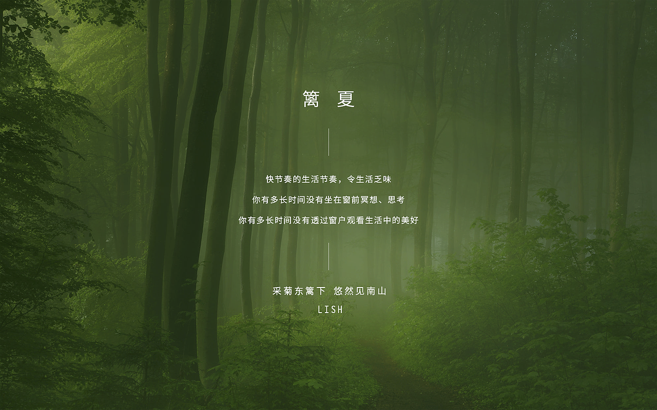 篱夏—品牌设计方案