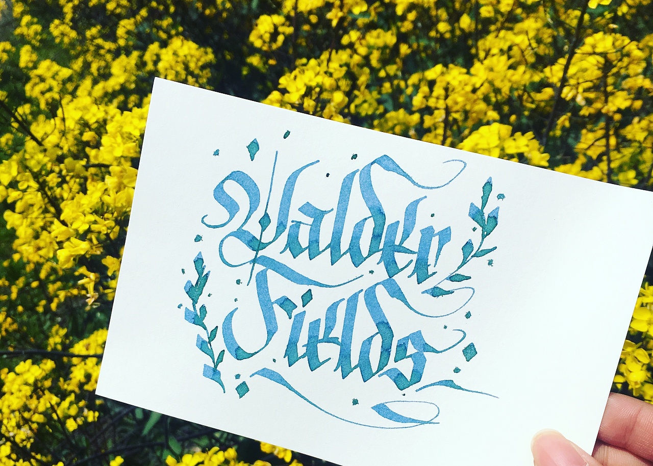 每次写的字体都不会太相似,平时还会练brushlettering,brush的习作