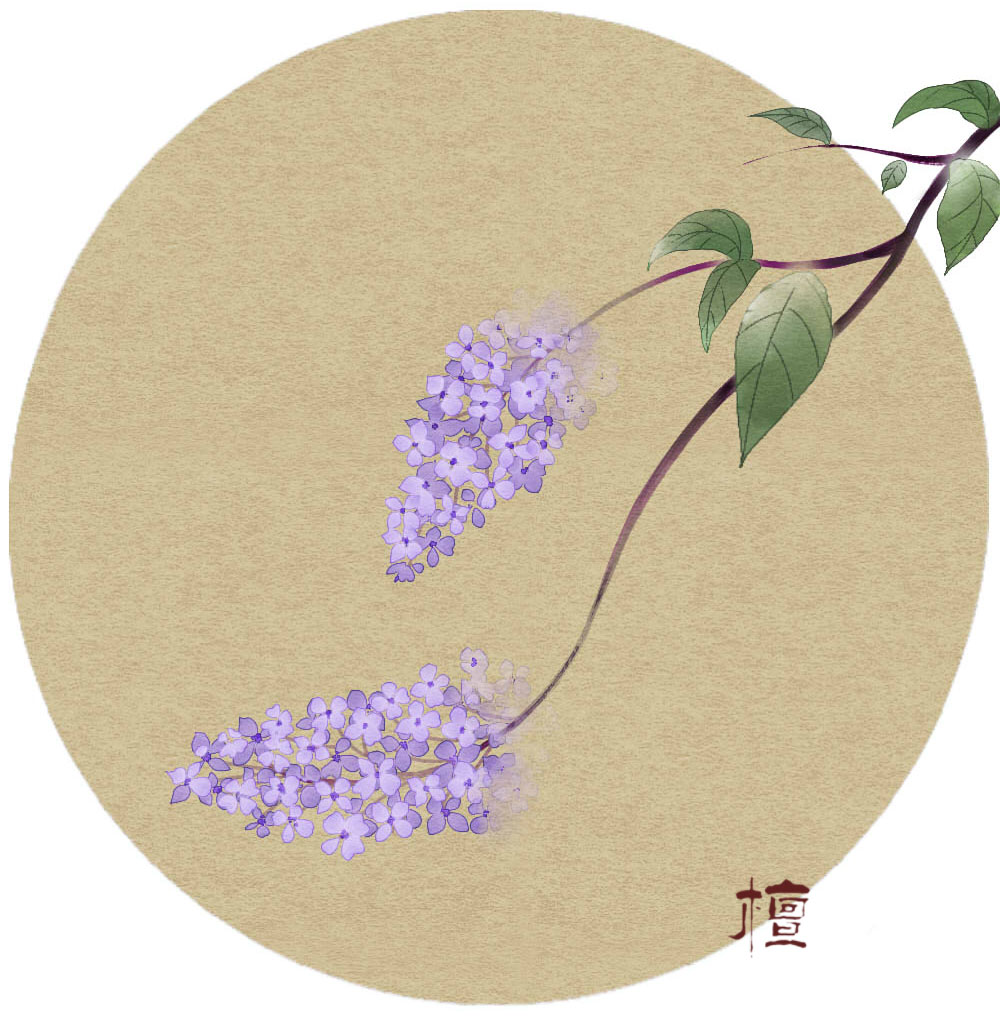 檀繪的個(gè)人主頁（背景預(yù)覽） - 主頁背景設(shè)置 - 站酷設(shè)計(jì)師檀繪原創(chuàng)素材 - 站酷ZCOOL