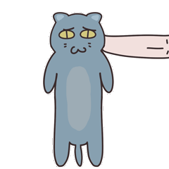 英短喵的日常表情包