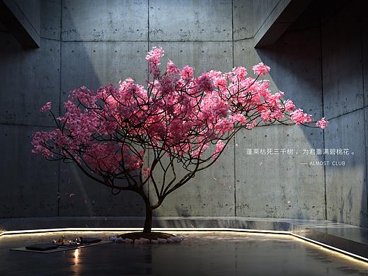 C4D随手练习第二期-樱花场景