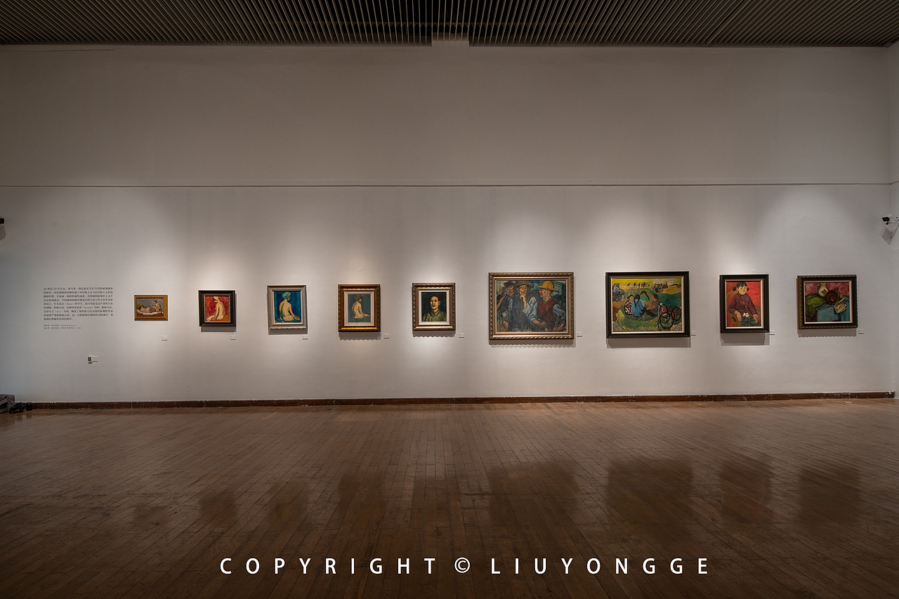 从不可见开始-埃乌琴·博巴与中国当代绘画展（图ZMjM0MDQwMjgw） - 环境/建筑摄影 - 站酷设计师刘永戈原创素材 - 站酷ZCOOL