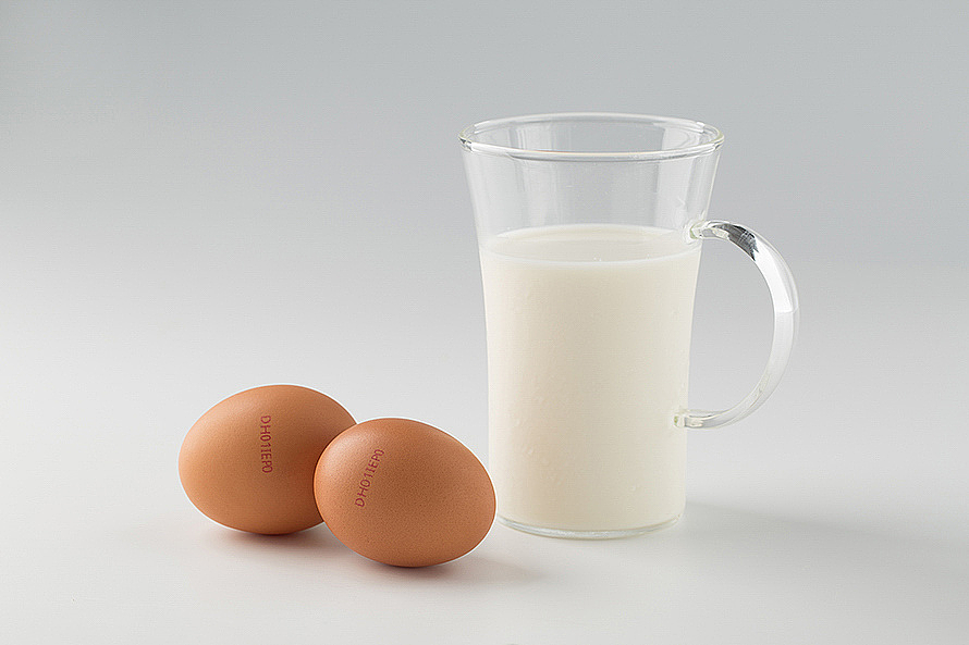 【DUEHOLM/都尔霍姆】有机鸡蛋，白底图静物（图ZMjEyNzA4NDcy） - 其他 - 站酷设计师摄影师葱花原创素材 - 站酷ZCOOL