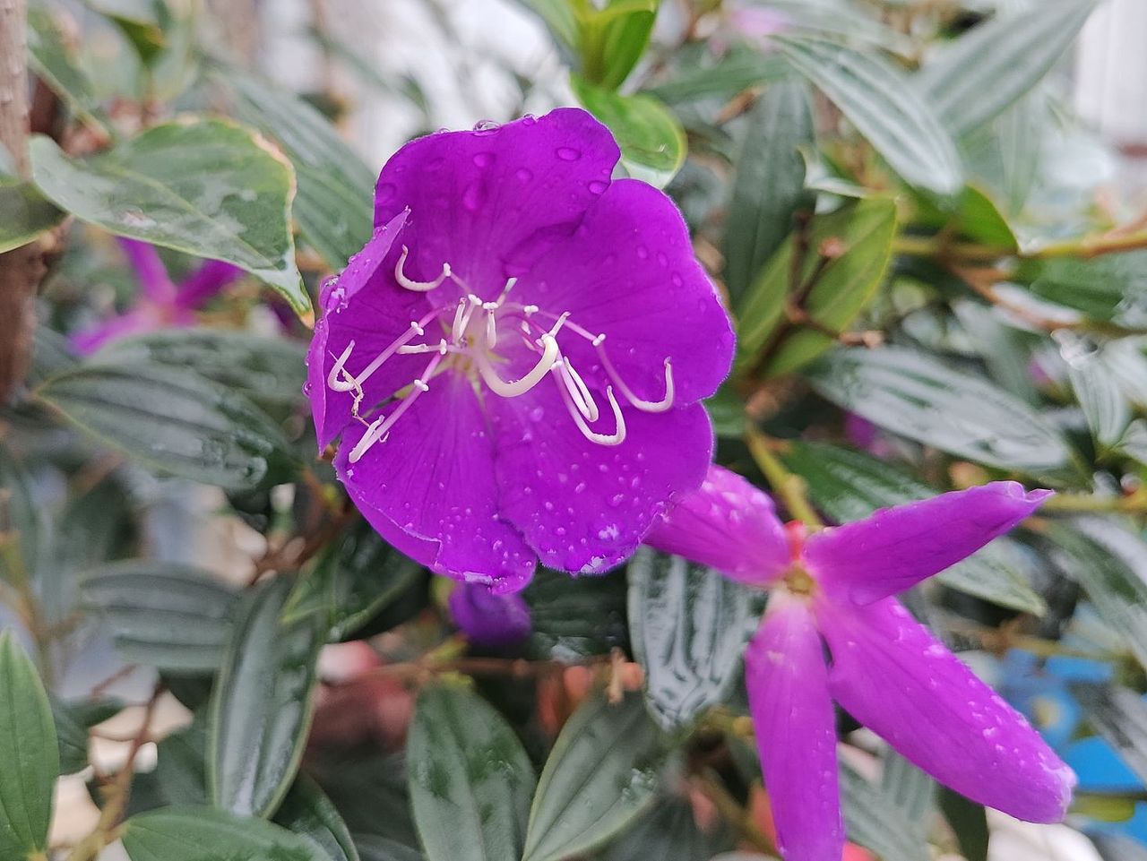 暴雨过后（图ZMzY4MDU0MzE2） - 风光摄影 - 站酷设计师圆真王子原创素材 - 站酷ZCOOL