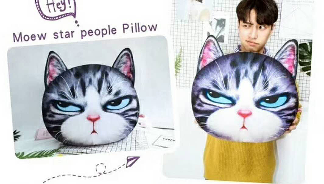 卡通猫插画（图ZOTc0MzkzMTI=） - 商业插画 - 站酷设计师画师六颗籽原创素材 - 站酷ZCOOL