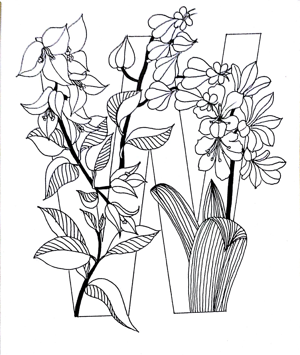 系列字母花卉插画（图ZMTQxMDk1OTY4） - 绘本 - 站酷设计师麟松原创素材 - 站酷ZCOOL