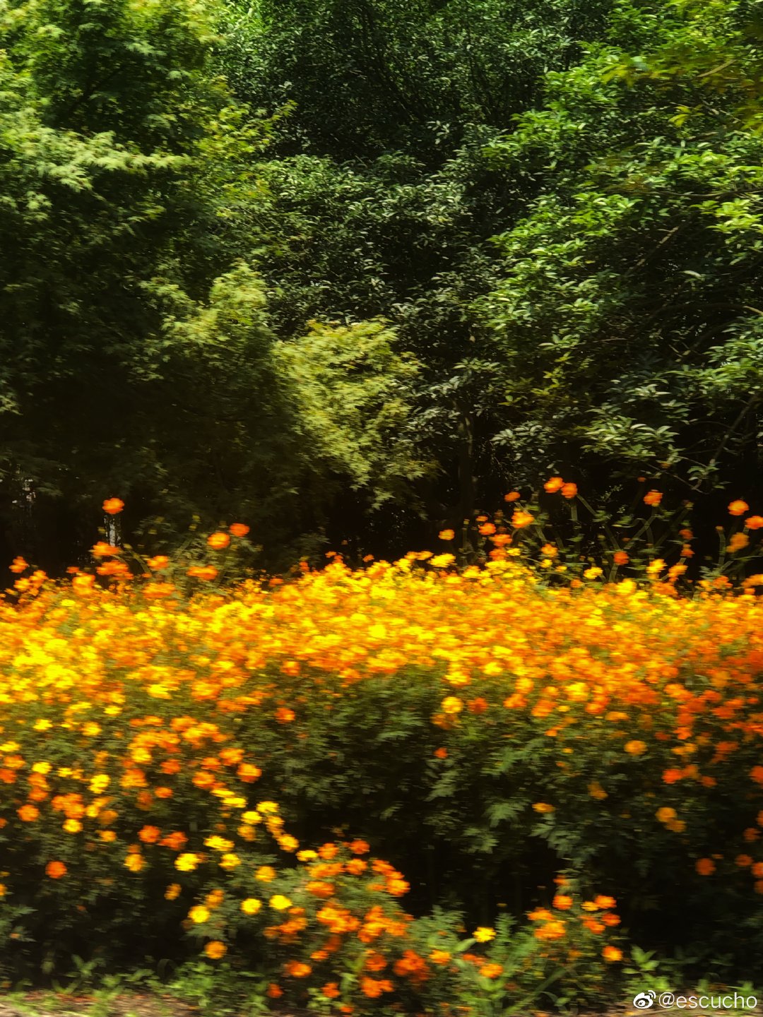 阿迪宇宙的个人主页（封面预览） - 主页封面设置 - 站酷设计师阿迪宇宙原创素材 - 站酷ZCOOL
