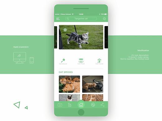 APP