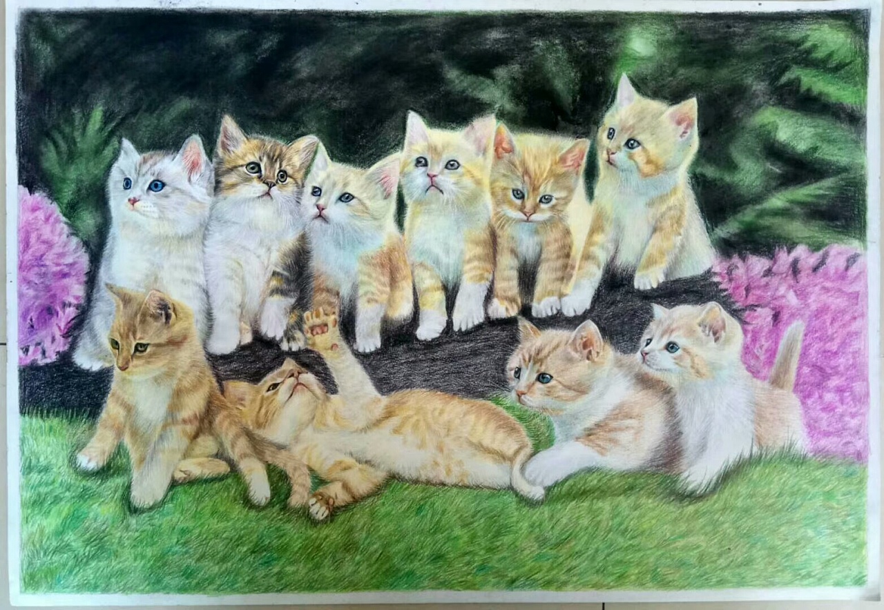 十只小猫彩铅